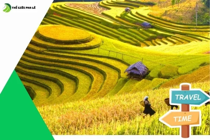 Thời điểm lý tưởng để tham quan ruộng bậc thang Hà Giang