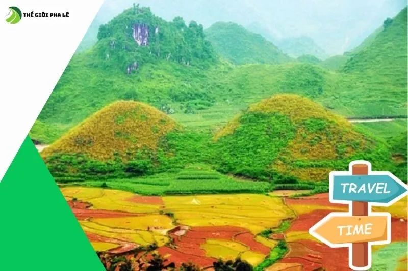 Đặc Sản Và Sản Vật Đặc Trưng Vùng Quản Bạ