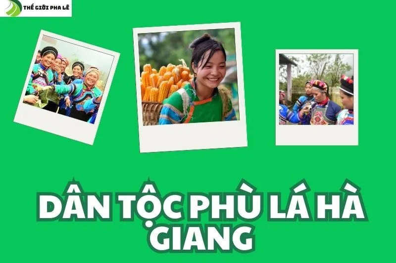dân tộc phù lá hà giang