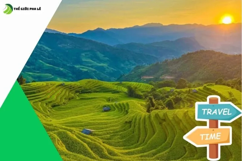 Hoạt động trải nghiệm thú vị