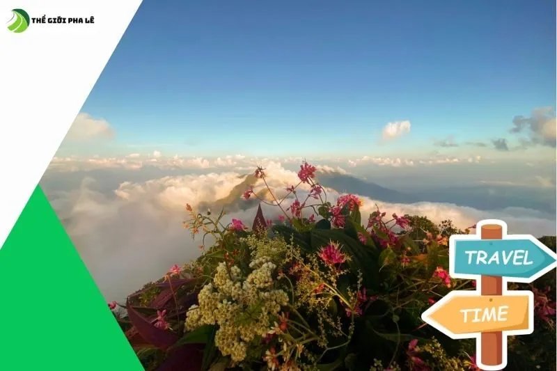 Lên Đỉnh Tây Côn Lĩnh