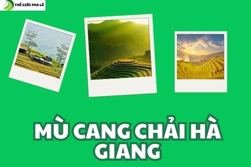 mù cang chải hà giang