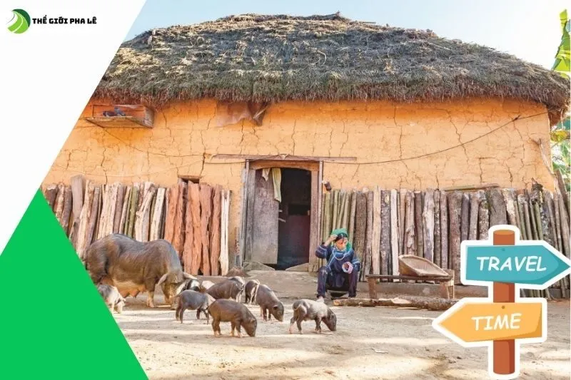 Nhà Trình Tường Trong Du Lịch và Sinh Hoạt Cộng Đồng