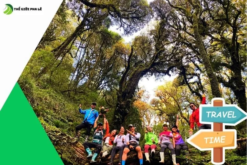 Những Trải Nghiệm Không Thể Bỏ Qua Tại Đây