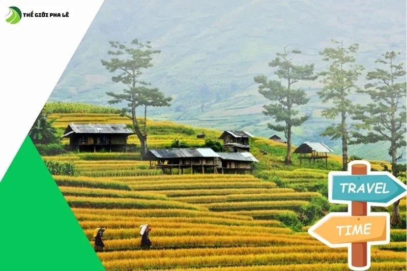 Thời điểm đẹp nhất để du lịch Mù Cang Chải, Hà Giang