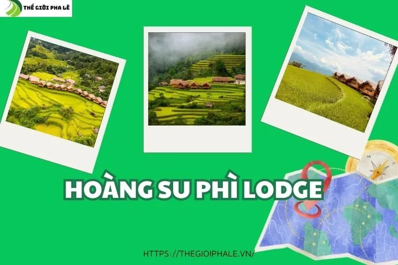 Khám Phá Hoàng Su Phì Lodge - Khu Nghỉ Dưỡng Sinh Thái Tại Hà Giang