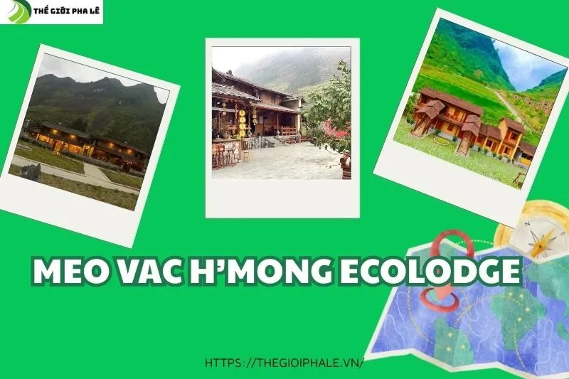 Khám Phá Meo Vac H’Mong Ecolodge: Homestay Tuyệt Vời Tại Hà Giang | TGPL