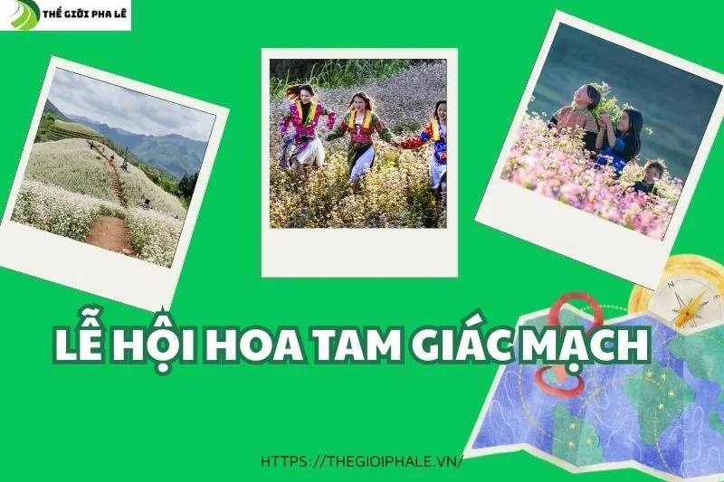 Lễ Hội Hoa Tam Giác Mạch Hà Giang: Thời Gian, Địa Điểm và Hoạt Động