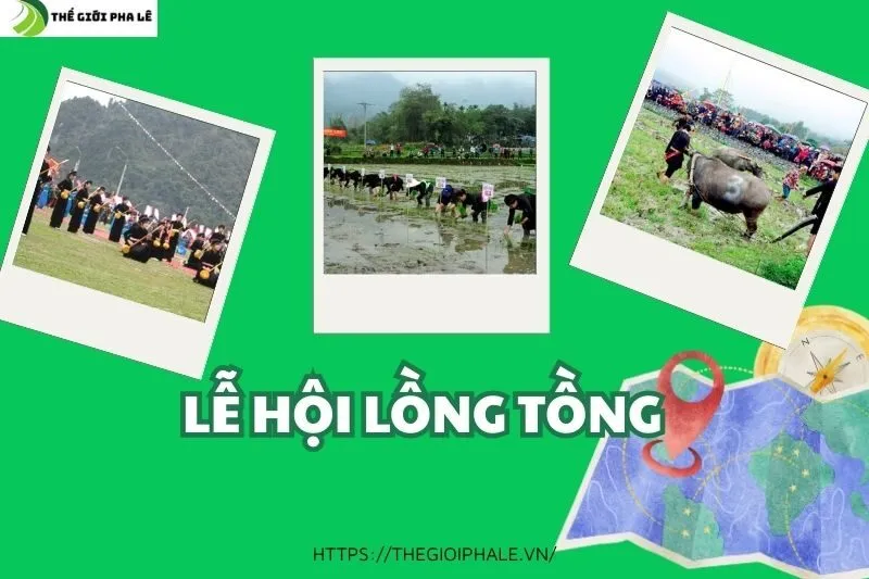 Lễ Hội Lồng Tồng Hà Giang: Nghi Lễ & Trò Chơi Dân Gian Hấp Dẫn