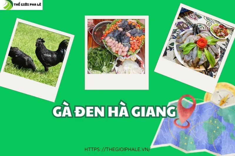 Gà Đen Hà Giang
